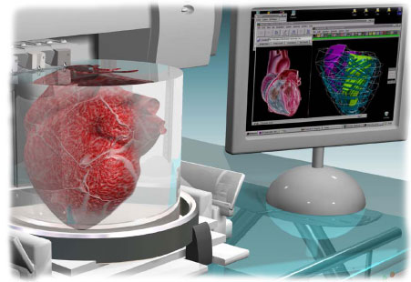 Bioprinting a Heart Using 3D Printing
